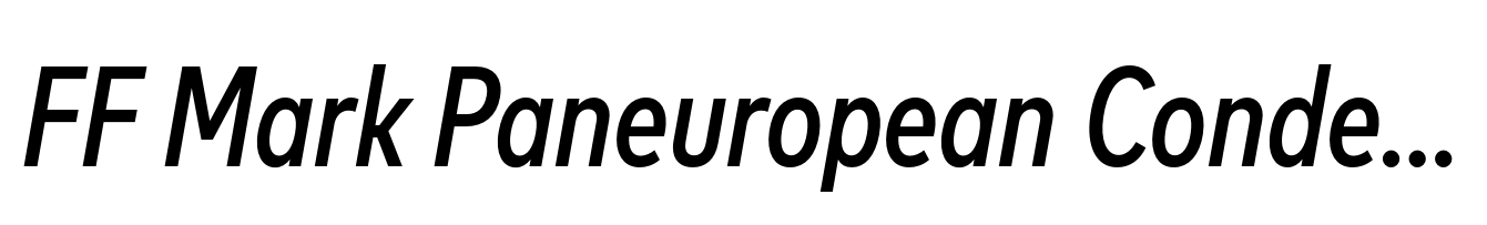 FF Mark Paneuropean Condensed Medium Italic